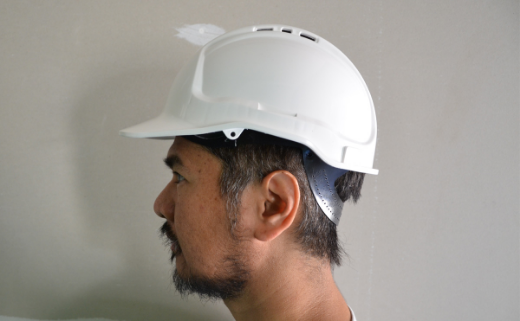 Picture of Hard Hat SC